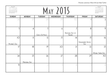 theTurtleRoom 2015 Turtle Calendar - May