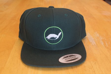 theTurtleRoom 2016 Snapback Hat - Spruce