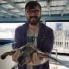 Liam Whitmore - World Turtle News Editor