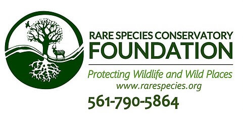 Rare Species Conservatory Foundation, a partner of theTurtleRoom and African Chelonian Institute