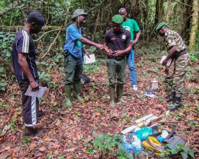 Rangers learn to collect data